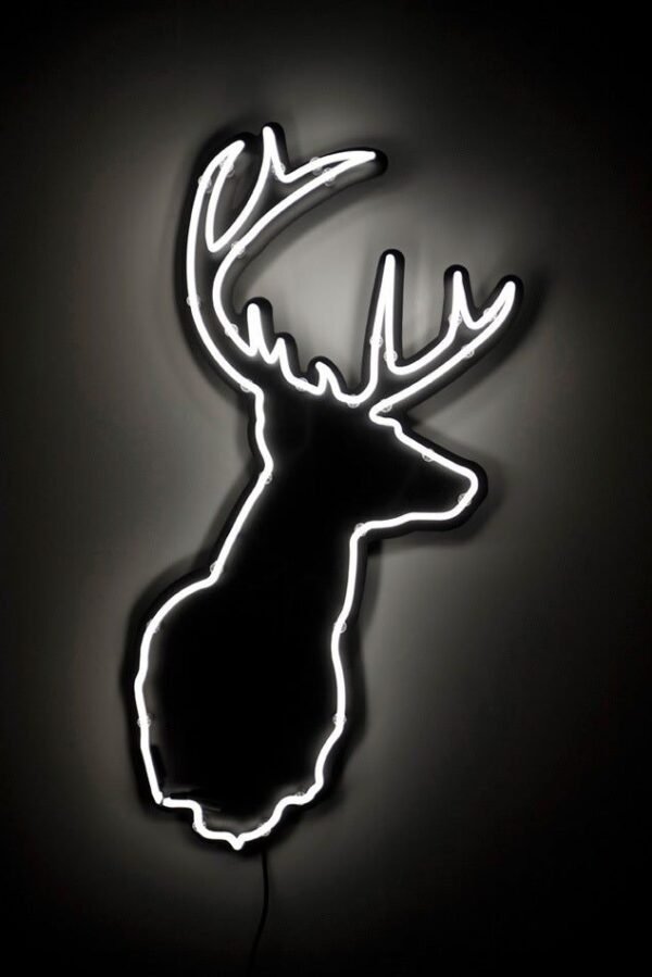Dan Bruce - Deer